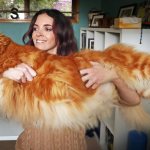 10 самых крупных пород домашних кошек для тех, кто хочет быть придавлен к дивану мурчащим трактором