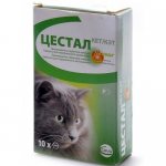 Cestal for cats