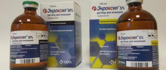 Enroxil for cats reviews
