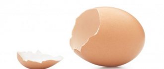 Если несушка проходит курс лечения энрофлоном, то яйца на этот момент необходимо прекратить употреблять в пищу
