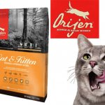 Orijen cat food: reviews from veterinarians