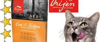 Корм для кошек Ориджен: отзывы ветеринаров