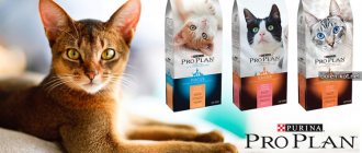 Корм Purina Pro Plan для котов и кошек