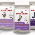 Корма сухие Royal Canin для кошек