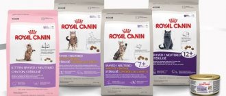 Корма сухие Royal Canin для кошек