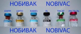 Several types of Nobivak vaccines