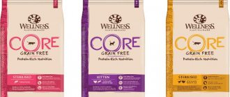 Advantages and disadvantages of Wellness CORE cat food