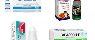 Препараты при рините у кошки